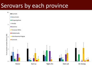 Seroprevalence of specific Leptospira serovars in pigs from five provinces in Vietnam