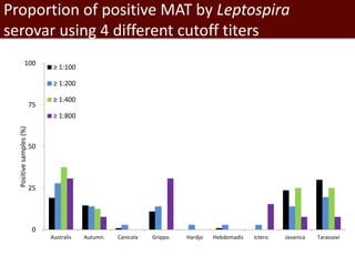 Seroprevalence of specific Leptospira serovars in pigs from five provinces in Vietnam