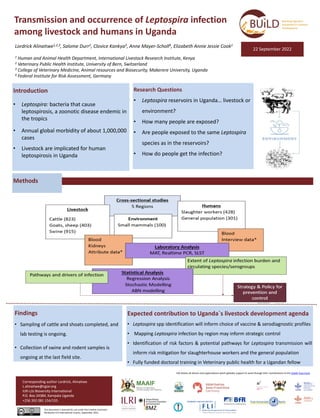 Transmission and occurrence of Leptospira infection
among livestock and humans in Uganda
Lordrick Alinaitwe1,2,3, Salome Durr2, Clovice Kankya3, Anne Mayer-Scholl4, Elizabeth Annie Jessie Cook1
1 Human and Animal Health Department, International Livestock Research Institute, Kenya
2 Veterinary Public Health Institute, University of Bern, Switzerland
3 College of Veterinary Medicine, Animal resources and Biosecurity, Makerere University, Uganda
4 Federal Institute for Risk Assessment, Germany
Introduction
• Leptospira: bacteria that cause
leptospirosis, a zoonotic disease endemic in
the tropics
• Annual global morbidity of about 1,000,000
cases
• Livestock are implicated for human
leptospirosis in Uganda
Corresponding author Lordrick, Alinaitwe
L.alinaitwe@cgiar.org
ILRI c/o Bioversity International
P.O. Box 24384, Kampala Uganda
+256 392 081 154/155
This document is licensed for use under the Creative Commons
Attribution 4.0 International Licence. September 2022.
22 September 2022
ILRI thanks all donors and organizations which globally support its work through their contributions to the CGIAR Trust Fund.
Expected contribution to Uganda`s livestock development agenda
• Leptospira spp identification will inform choice of vaccine & serodiagnostic profiles
• Mapping Leptospira infection by region may inform strategic control
• Identification of risk factors & potential pathways for Leptospira transmission will
inform risk mitigation for slaughterhouse workers and the general population
• Fully funded doctoral training in Veterinary public health for a Ugandan fellow
Methods
Research Questions
• Leptospira reservoirs in Uganda… livestock or
environment?
• How many people are exposed?
• Are people exposed to the same Leptospira
species as in the reservoirs?
• How do people get the infection?
Findings
• Sampling of cattle and shoats completed, and
lab testing is ongoing.
• Collection of swine and rodent samples is
ongoing at the last field site.
 