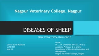 DISEASES OF SHEEP
PRODUCTION SYSTEM STUDY CIRCLE
Omkar Sunil Phadtare
V/15/191
Year III
Nagpur Veterinary College, Nagpur
Guide:
Dr. J. M. Chahande (M.V.Sc., Ph.D.)
Associate Professor & In-charge,
Department of Livestock Production and
Management,
Nagpur Veterinary College, Nagpur
 