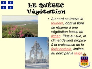 LE QUÉBEC
Végétation
     • Au nord se trouve la
       toundra, dont la flore
       se résume à une
       végétation basse de
       lichen. Plus au sud, le
       climat devient propice
       à la croissance de la
       forêt boréale, limitée
       au nord par la taïga.
 