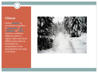 Climat
Quatre saisons se
succèdent au Québec :
le printemps, l'été,
l'automne et l'hiver,
dont les conditions
diffèrent selon la
région. Elles sont alors
différenciées selon la
luminosité, la
température et les
précipitations de neige
et de pluie.
 