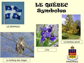 LE QUÉBEC
                        Symboles


LE DRAPEAU




                                   Le bouleau jaune


                          L’iris



Le harfang des neiges
                                     ARMOIRIES
 