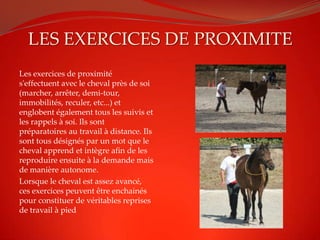LES EXERCICES DE PROXIMITE
Les exercices de proximité
s'effectuent avec le cheval près de soi
(marcher, arrêter, demi-tour,
immobilités, reculer, etc...) et
englobent également tous les suivis et
les rappels à soi. Ils sont
préparatoires au travail à distance. Ils
sont tous désignés par un mot que le
cheval apprend et intègre afin de les
reproduire ensuite à la demande mais
de manière autonome.
Lorsque le cheval est assez avancé,
ces exercices peuvent être enchainés
pour constituer de véritables reprises
de travail à pied
 