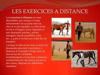 LES EXERCICES A DISTANCE
Les exercices à distance ne sont
abordables que lorsque la base
relationnelle est acquise entre le
cheval et son équipier. Le cheval est
invité à s'éloigner pour répondre à
une demande précise ( portes,
triangles, barres parallèles, huit,
etc...), puis il revient aux côtés de son
équipier.
Lorsque le cheval est assez avancé, les
demandes peuvent s'enchaîner à
distance et l'équipier dirige alors le
cheval sur de véritables
enchaînements d'exercices à distance,
matérialisés par des barres au sol ou
des cônes, disposés de différentes
manières.
 