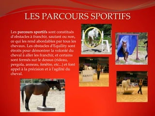 LES PARCOURS SPORTIFS
Les parcours sportifs sont constitués
d'obstacles à franchir, sautant ou non,
ce qui les rend abordables par tous les
chevaux. Les obstacles d'Equility sont
étroits pour démontrer la volonté du
cheval à aller les franchir, et certains
sont fermés sur le dessus (rideau,
pergola, anneau, fenêtre, etc...) et font
appel à la précision et à l'agilité du
cheval.
 