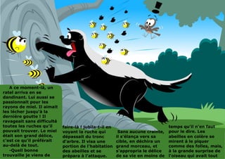 faire-là ! jubila-t-il en
voyant la ruche qui
dépassait du tronc
d'arbre. Il visa une
portion de l'habitation
des abeilles et se
prépara à l'attaque.
Sans aucune crainte,
il s'élança vers sa
cible, en déchira un
grand morceau, et
s'appropria le délice
de sa vie en moins de
temps qu'il n'en faut
pour le dire. Les
abeilles en colère se
mirent à le piquer
comme des folles, mais,
à la grande surprise de
l'oiseau qui avait tout
A ce moment-là, un
ratel arriva en se
dandinant. Lui aussi se
passionnait pour les
rayons de miel. Il aimait
les lécher jusqu'à la
dernière goutte ! Il
ravageait sans difficulté
toutes les ruches qu'il
pouvait trouver. Le miel
était son grand délice,
c'est ce qu'il préférait
au-delà de tout.
-Quell bonne
trouvaille je viens de
 