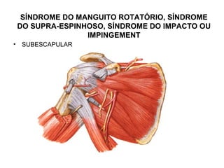 SÍNDROME DO MANGUITO ROTATÓRIO, SÍNDROME
DO SUPRA-ESPINHOSO, SÍNDROME DO IMPACTO OU
IMPINGEMENT
• SUBESCAPULAR
 
