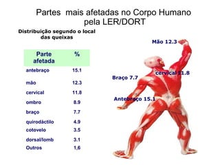 Partes mais afetadas no Corpo Humano
pela LER/DORT
Parte
afetada
%
antebraço 15.1
mão 12.3
cervical 11.8
ombro 8.9
braço 7.7
quirodáctilo 4.9
cotovelo 3.5
dorsal/lomb 3.1
Outros 1,6
Distribuição segundo o local
das queixas
Mão 12.3
Braço 7.7
cervical 11.8
Antebraço 15.1
 