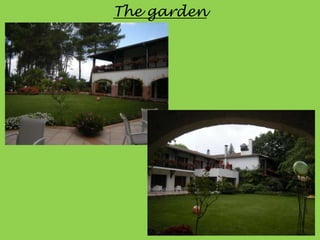 The garden