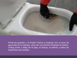 Ponte los guantes y ¡A limpiar! Vamos a empezar con un poco de
agua tibia en la esponja para dar una primera limpiada al inodoro.
Limpia arriba y abajo de la tapa, el tanque, el asiento y todas las
superﬁcies que puedas.
 