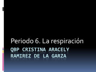 Periodo 6. La respiración
QBP CRISTINA ARACELY
RAMIREZ DE LA GARZA
 