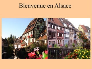 Bienvenue en Alsace 
