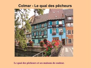 Colmar - Le quai des pêcheurs  Le quai des pêcheurs et ses maisons de couleur. 