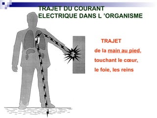 TRAJET
de la main au pied,
touchant le cœur,
le foie, les reins
TRAJET DU COURANT
ELECTRIQUE DANS L ’ORGANISME
 