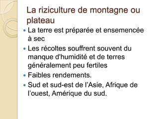 La riziculture de montagne ou
    plateau
 La terre est préparée et ensemencée
  à sec
 Les récoltes souffrent souvent du
  manque d'humidité et de terres
  généralement peu fertiles
 Faibles rendements.
 Sud et sud-est de l’Asie, Afrique de
  l’ouest, Amérique du sud.
 
