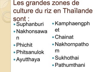 Les grandes zones de
culture du riz en Thaïlande
sont :
 Suphanburi     Kamphaengph
 Nakhonsawa      et
  n              Chainat
 Phichit        Nakhornpatho
 Phitsanulok     m
 Ayutthaya      Sukhothai
                 Pathumthani
 
