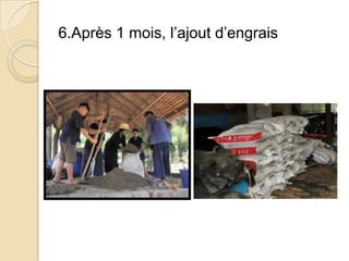 6.Après 1 mois, l’ajout d’engrais
 