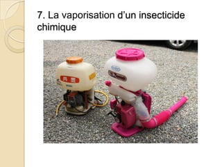 7. La vaporisation d’un insecticide
chimique
 