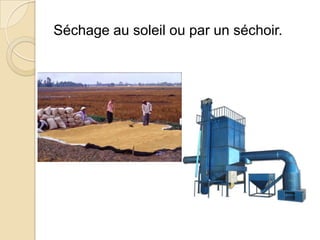 Séchage au soleil ou par un séchoir.
 