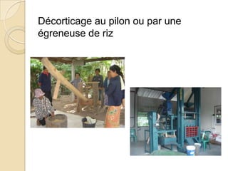 Décorticage au pilon ou par une
égreneuse de riz
 