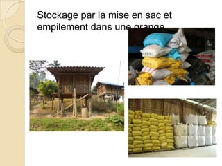 Stockage par la mise en sac et
empilement dans une grange
 