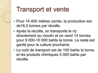 Transport et vente
 Pour 14 400 mètres carrés, la production est
  de16,5 tonnes par récolte.
 Après la récolte, on transporte le riz
  directement au moulin et on vend 14 tonnes
  pour 9 000-10 000 bahts la tonne. Le reste est
  gardé pour la culture prochaine.
 Le coût de transport est de 100 bahts la tonne
  et les produits chimiques 5 000 bahts par
  récolte.
 
