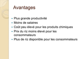 Avantages

   Plus grande productivité
   Moins de salaires
   Coût peu élevé pour les produits chimiques
   Prix du riz moins élevé pour les
    consommateurs
   Plus de riz disponible pour les consommateurs
 