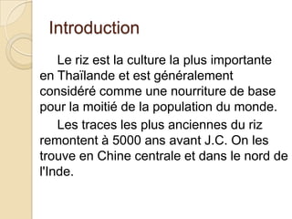 Introduction
    Le riz est la culture la plus importante
en Thaïlande et est généralement
considéré comme une nourriture de base
pour la moitié de la population du monde.
    Les traces les plus anciennes du riz
remontent à 5000 ans avant J.C. On les
trouve en Chine centrale et dans le nord de
l'Inde.
 