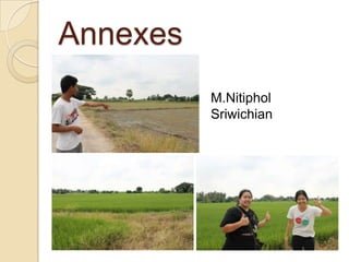 Annexes
          M.Nitiphol
          Sriwichian
 
