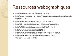 Ressources webographiques
   http://market.mthai.com/product/291185
   http://www.korsorlampang.com/?name=knowledge&file=readknowle
    dge&id=319
   http://www.dailynews.co.th/agriculture/152072
   http://kkn-rsc.ricethailand.go.th/rice/plant/tamna.html
   http://r01.ldd.go.th/Lddwebsite/ptm01/s2-1.html
   http://www.naewna.com/local/21945
   http://www.opcywattana.com/product-list.php?_cid=20
   http://www.brrd.in.th/rkb/postharvest/index.php-
    file=content.php&id=4.htm
 