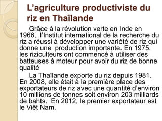 L’agriculture productiviste du
  riz en Thaïlande
    Grâce à la révolution verte en Inde en
1966, l’Institut international de la recherche du
riz a réussi à développer une variété de riz qui
donne une production importante. En 1975,
les riziculteurs ont commencé à utiliser des
batteuses à moteur pour avoir du riz de bonne
qualité
    La Thaïlande exporte du riz depuis 1981.
En 2008, elle était à la première place des
exportateurs de riz avec une quantité d’environ
10 millions de tonnes soit environ 203 milliards
de bahts. En 2012, le premier exportateur est
le Viêt Nam.
 