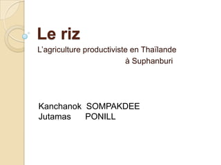 Le riz
L’agriculture productiviste en Thaïlande
                          à Suphanburi




Kanchanok SOMPAKDEE
Jutamas   PONILL
 