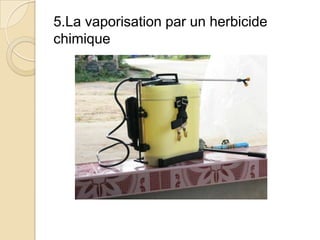 5.La vaporisation par un herbicide
chimique
 