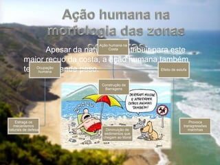 Apesar da natureza contribuir para este
maior recuo da costa, a ação humana também
tem um grande peso.
Ação humana na
Costa
Construção de
Barragens
Diminuição de
sedimentos que
chegam ao litoral
Ocupação
humana
Estraga os
mecanismos
naturais de defesa
Efeito de estufa
Provoca
transgressões
marinhas
 