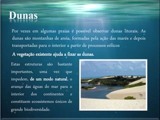 Por vezes em algumas praias é possível observar dunas litorais. As
dunas são montanhas de areia, formadas pela ação das marés e depois
transportadas para o interior a partir de processos eólicos
A vegetação existente ajuda a fixar as dunas.
Estas estruturas são bastante
importantes, uma vez que
impedem, de um modo natural, o
avanço das águas do mar para o
interior dos continentes e
constituem ecossistemos únicos de
grande biodiversidade.
 