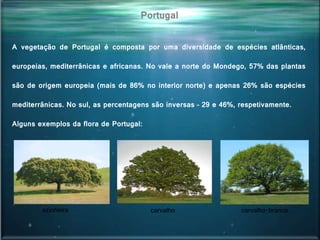 Portugal
A vegetação de Portugal é composta por uma diversidade de espécies atlânticas,
europeias, mediterrânicas e africanas. No vale a norte do Mondego, 57% das plantas
são de origem europeia (mais de 86% no interior norte) e apenas 26% são espécies
mediterrânicas. No sul, as percentagens são inversas – 29 e 46%, respetivamente.
Alguns exemplos da flora de Portugal:
azinheira carvalho carvalho-branco
 