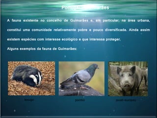 A fauna existente no concelho de Guimarães e, em particular, na área urbana,
constitui uma comunidade relativamente pobre e pouco diversificada. Ainda assim
existem espécies com interesse ecológico e que interessa proteger.
Alguns exemplos da fauna de Guimarães:
Portugal - Guimarães
pombo javali-europeutexugo
 