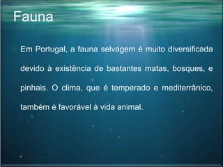 Fauna
Em Portugal, a fauna selvagem é muito diversificada
devido à existência de bastantes matas, bosques, e
pinhais. O clima, que é temperado e mediterrânico,
também é favorável à vida animal.
 