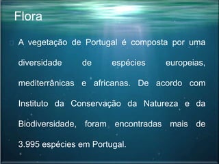 Flora
A vegetação de Portugal é composta por uma
diversidade de espécies europeias,
mediterrânicas e africanas. De acordo com
Instituto da Conservação da Natureza e da
Biodiversidade, foram encontradas mais de
3.995 espécies em Portugal.
 