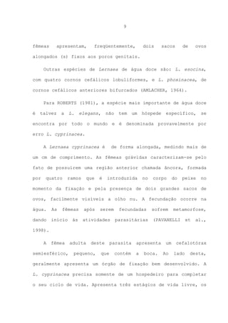 9

fêmeas

apresentam,

freqüentemente,

dois

sacos

de

ovos

alongados (s) fixos aos poros genitais.
Outras espécies de Lernaea de água doce são: L. esocina,
com quatro cornos cefálicos lobuliformes, e L. phoxinacea, de
cornos cefálicos anteriores bifurcados (AMLACHER, 1964).
Para ROBERTS (1981), a espécie mais importante de água doce
é

talvez

a

L.

elegans,

não

tem

um

hóspede

específico,

se

encontra por todo o mundo e é denominada provavelmente por
erro L. cyprinacea.
A Lernaea cyprinacea é

de forma alongada, medindo mais de

um cm de comprimento. As fêmeas grávidas caracterizam-se pelo
fato de possuírem uma região anterior chamada âncora, formada
por

quatro

ramos

que

é

introduzida

no

corpo

do

peixe

no

momento da fixação e pela presença de dois grandes sacos de
ovos, facilmente visíveis a olho nu. A fecundação ocorre na
água.

As

fêmeas

dando

início

às

após

serem

atividades

fecundadas
parasitárias

sofrem

metamorfose,

(PAVANELLI

et

al.,

1998).
A

fêmea

semiesférico,

adulta

deste

pequeno,

que

parasita
contém

apresenta
a

boca.

um
Ao

cefalotórax
lado

desta,

geralmente apresenta um órgão de fixação bem desenvolvido. A
L. cyprinacea precisa somente de um hospedeiro para completar
o seu ciclo de vida. Apresenta três estágios de vida livre, os

 