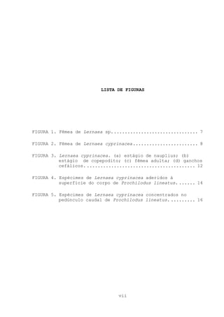 LISTA DE FIGURAS

FIGURA 1. Fêmea de Lernaea sp. ............................... 7
FIGURA 2. Fêmea de Lernaea cyprinacea ........................ 8
FIGURA 3. Lernaea cyprinacea. (a) estágio de nauplius; (b)
estágio de copepodito; (c) fêmea adulta; (d) ganchos
cefálicos. ........................................ 12
FIGURA 4. Espécimes de Lernaea cyprinacea aderidos à
superfície do corpo de Prochilodus lineatus. ...... 14
FIGURA 5. Espécimes de Lernaea cyprinacea concentrados no
pedúnculo caudal de Prochilodus lineatus. ......... 16

vii

 