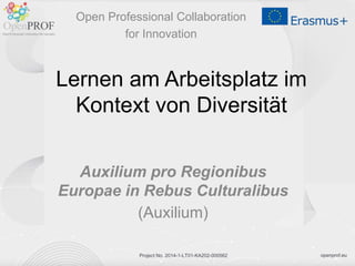 openprof.euProject No. 2014-1-LT01-KA202-000562
Lernen am Arbeitsplatz im
Kontext von Diversität
Auxilium pro Regionibus
Europae in Rebus Culturalibus
(Auxilium)
Open Professional Collaboration
for Innovation
 