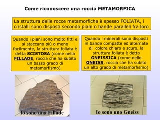 Come riconoscere una roccia METAMORFICA

La struttura delle rocce metamorfiche è spesso FOLIATA, i
cristalli sono disposti secondo piani o bande paralleli fra loro

Quando i piani sono molto fitti e    Quando i minerali sono disposti
     si staccano più o meno          in bande compatte ed alternate
facilmente, la struttura foliata è     di colore chiaro e scuro, la
 detta SCISTOSA (come nella               struttura foliata è detta
 FILLADE, roccia che ha subito           GNEISSICA (come nello
        un basso grado di             GNEISS, roccia che ha subito
          metamorfismo)              un alto grado di metamorfismo)




   Io sono una Fillade                    Io sono uno Gneiss
 