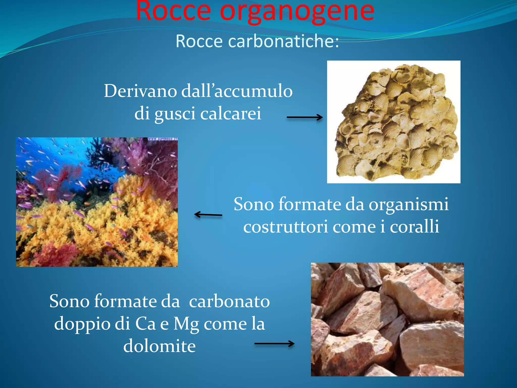 Le rocce sedimentarie | PPTX
