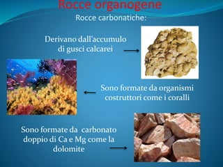 Rocce organogene
Rocce carbonatiche:
Derivano dall’accumulo
di gusci calcarei
Sono formate da organismi
costruttori come i coralli
Sono formate da carbonato
doppio di Ca e Mg come la
dolomite
 