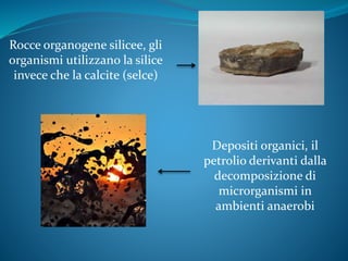 Rocce organogene silicee, gli
organismi utilizzano la silice
invece che la calcite (selce)
Depositi organici, il
petrolio derivanti dalla
decomposizione di
microrganismi in
ambienti anaerobi
 