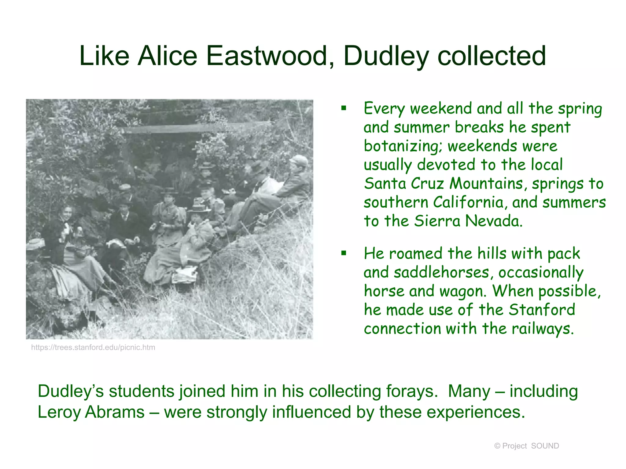 Like Alice Eastwood, Dudley collected
 Every weekend and all the spring
and summer breaks he spent
botanizing; weekends were
usually devoted to the local
Santa Cruz Mountains, springs to
southern California, and summers
to the Sierra Nevada.
 He roamed the hills with pack
and saddlehorses, occasionally
horse and wagon. When possible,
he made use of the Stanford
connection with the railways.
© Project SOUND
https://trees.stanford.edu/picnic.htm
Dudley’s students joined him in his collecting forays. Many – including
Leroy Abrams – were strongly influenced by these experiences.
 