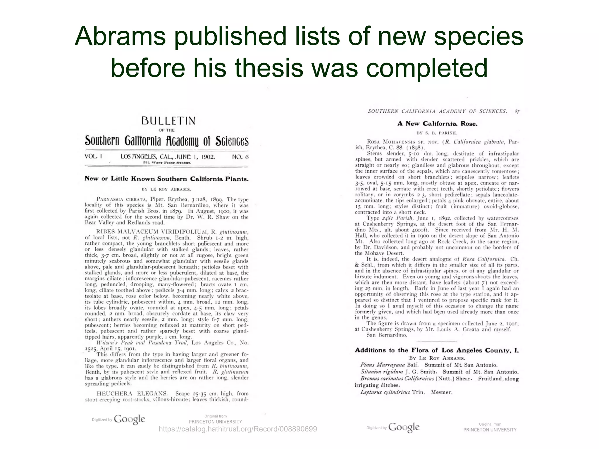 © Project SOUNDhttps://catalog.hathitrust.org/Record/008890699
Abrams published lists of new species
before his thesis was completed
 