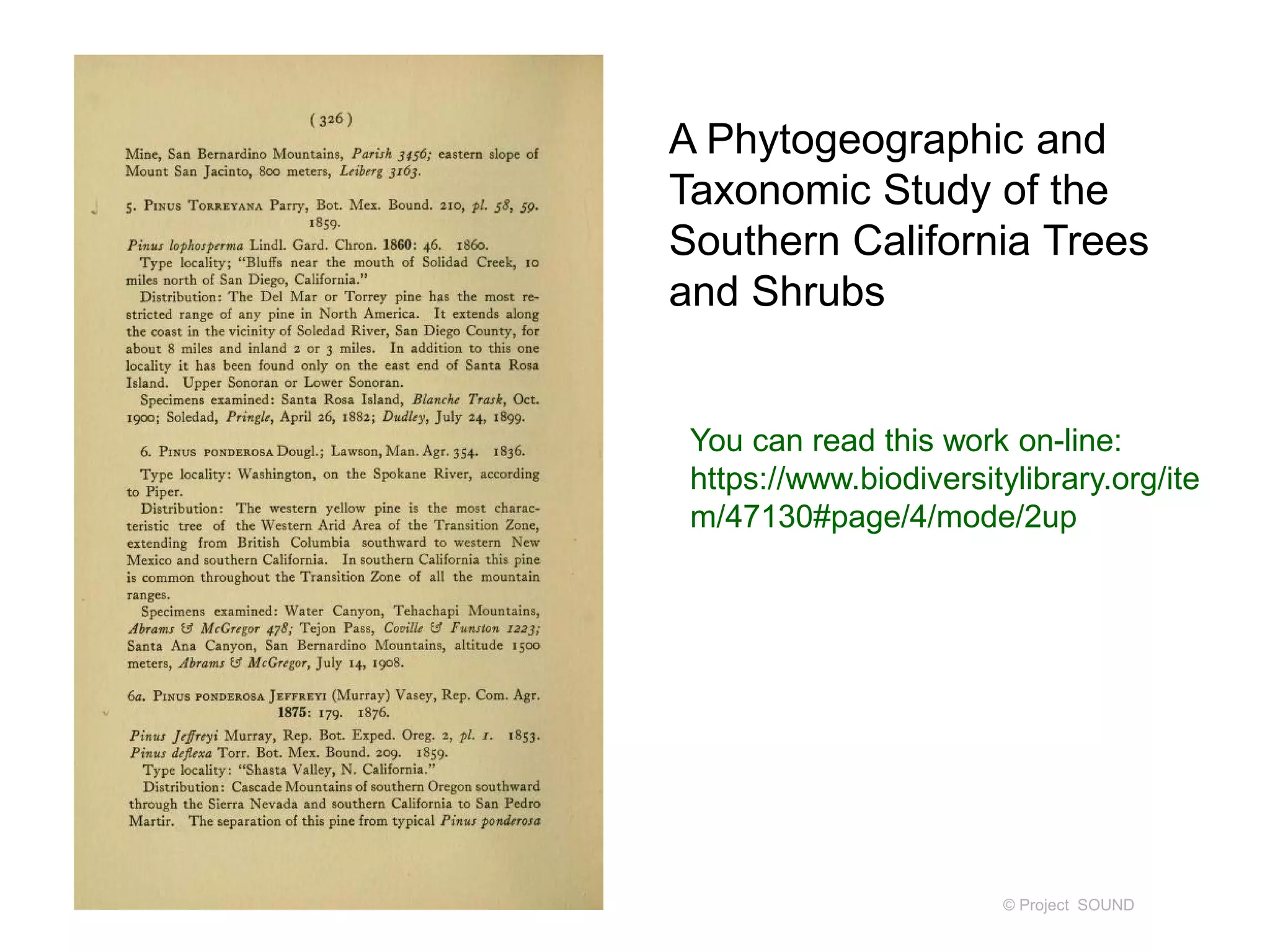 © Project SOUND
You can read this work on-line:
https://www.biodiversitylibrary.org/ite
m/47130#page/4/mode/2up
A Phytogeographic and
Taxonomic Study of the
Southern California Trees
and Shrubs
 